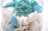 aqua coral and shell pack